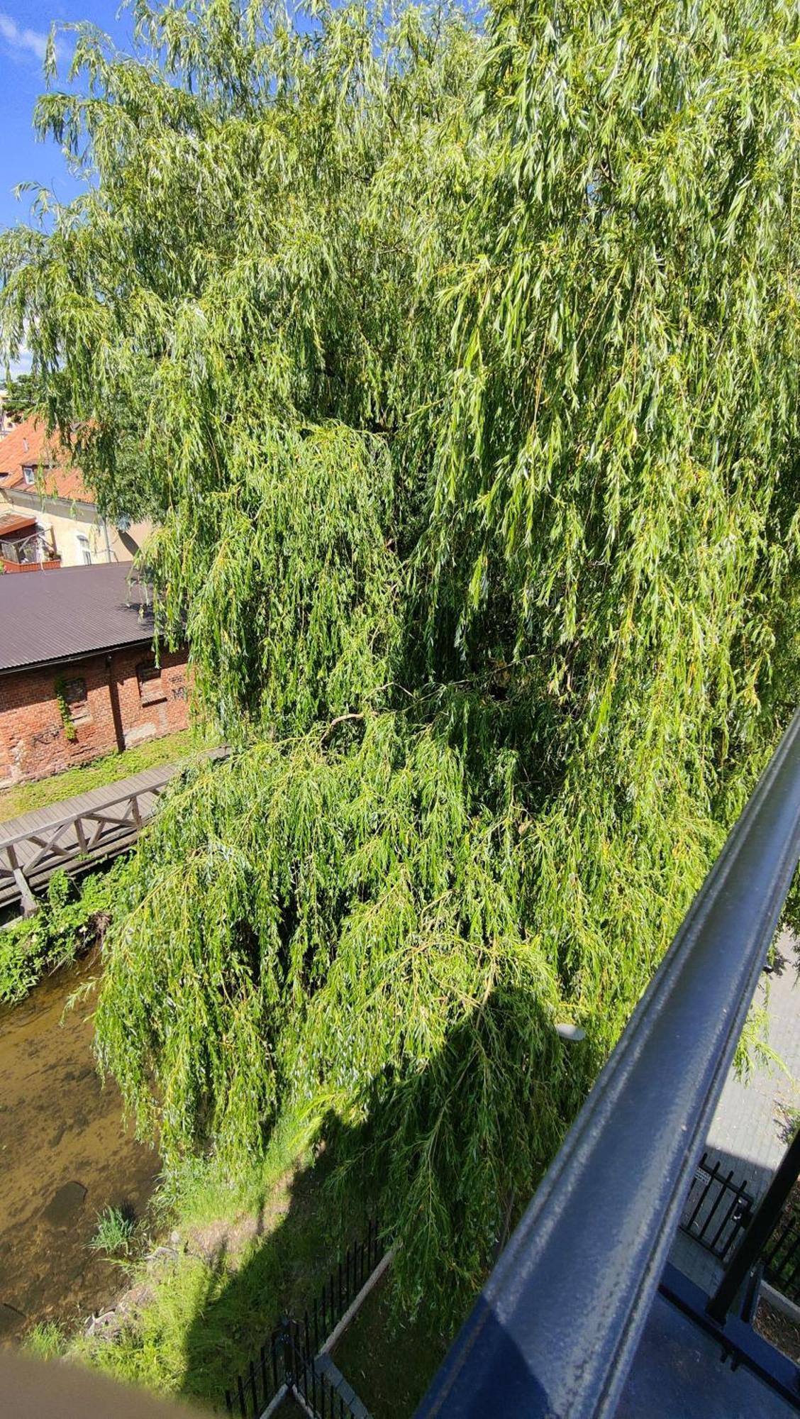 Apartament Nad Rzeka Lega Olecko Exterior photo